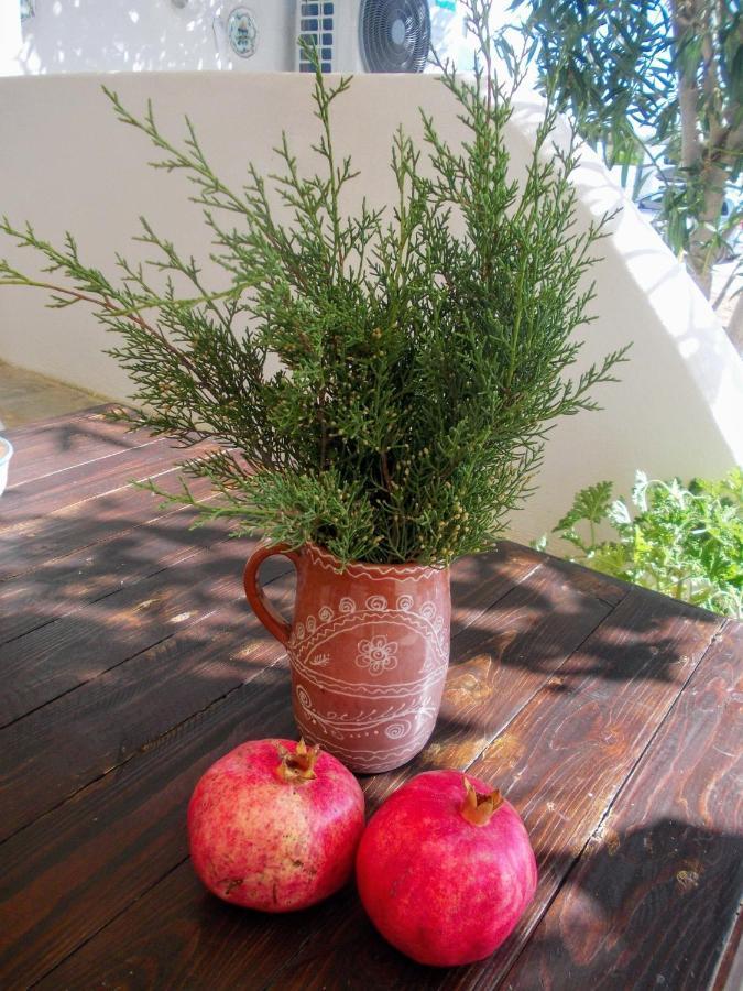 סקירוס Nyfes Traditional Boutique Vagelio מראה חיצוני תמונה